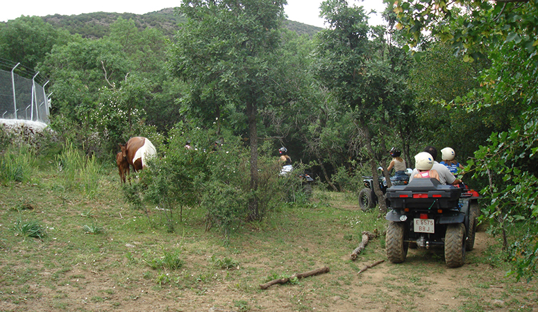 quads bosque